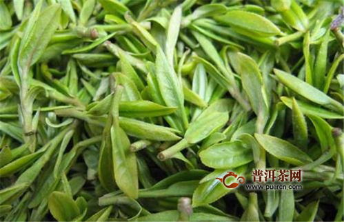 今年西湖龙井茶品质比往年更好